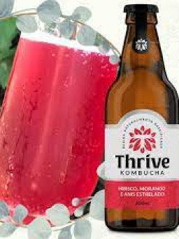 Imagem de Bebida Kombucha 300ml Thrive Hibisco, Morango e Anis Estrelado