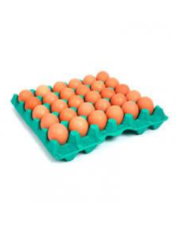 Imagem de Ovos Vermelho Bandeja C/30