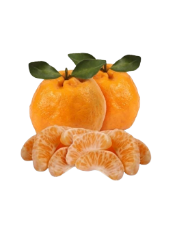 Imagem de Bergamota Ponkan Kg
