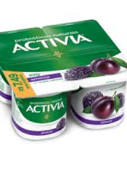 Imagem de Leite Fermentado Danone 400 g Activia Ameixa