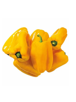 Imagem de Pimentao Amarelo Kg