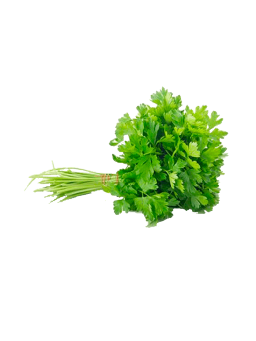 Imagem de SALSA UN