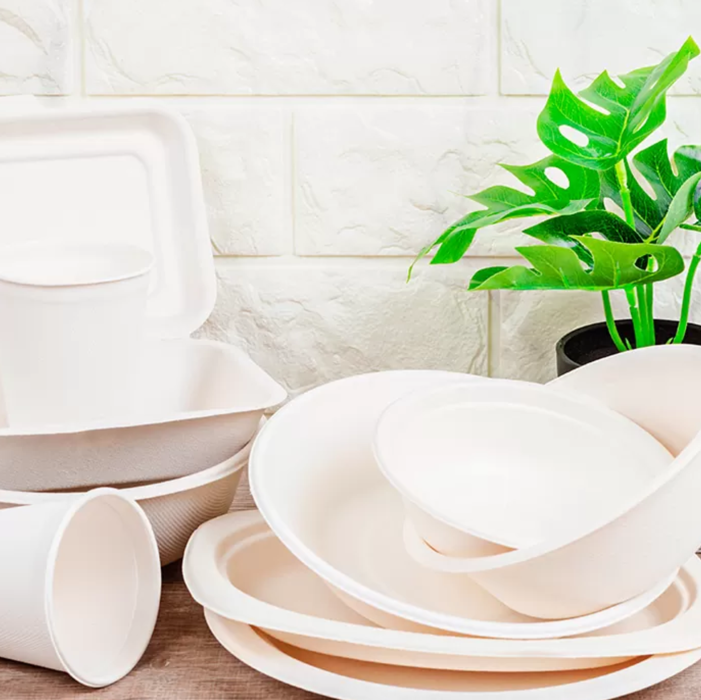 Imagem de Descartaveis