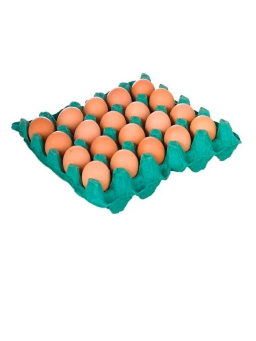Imagem de Ovos Vermelho Bandeja C/20 