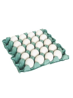 Imagem de Ovos Brancos Bandeja C/20 Sonia 